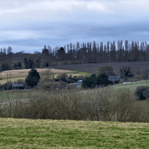 We are not a 'Maison', we are a FARM.
