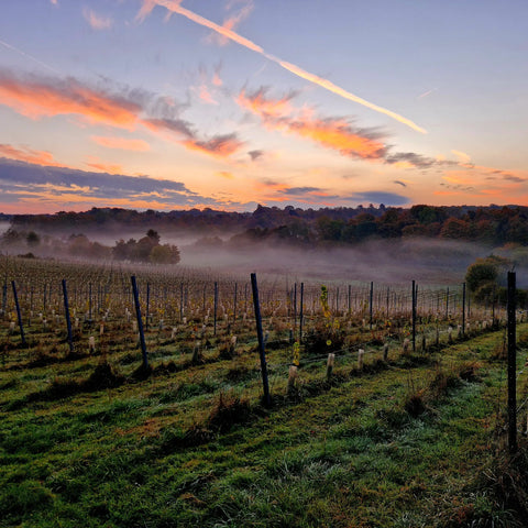 Holiday Cottage | The Field House