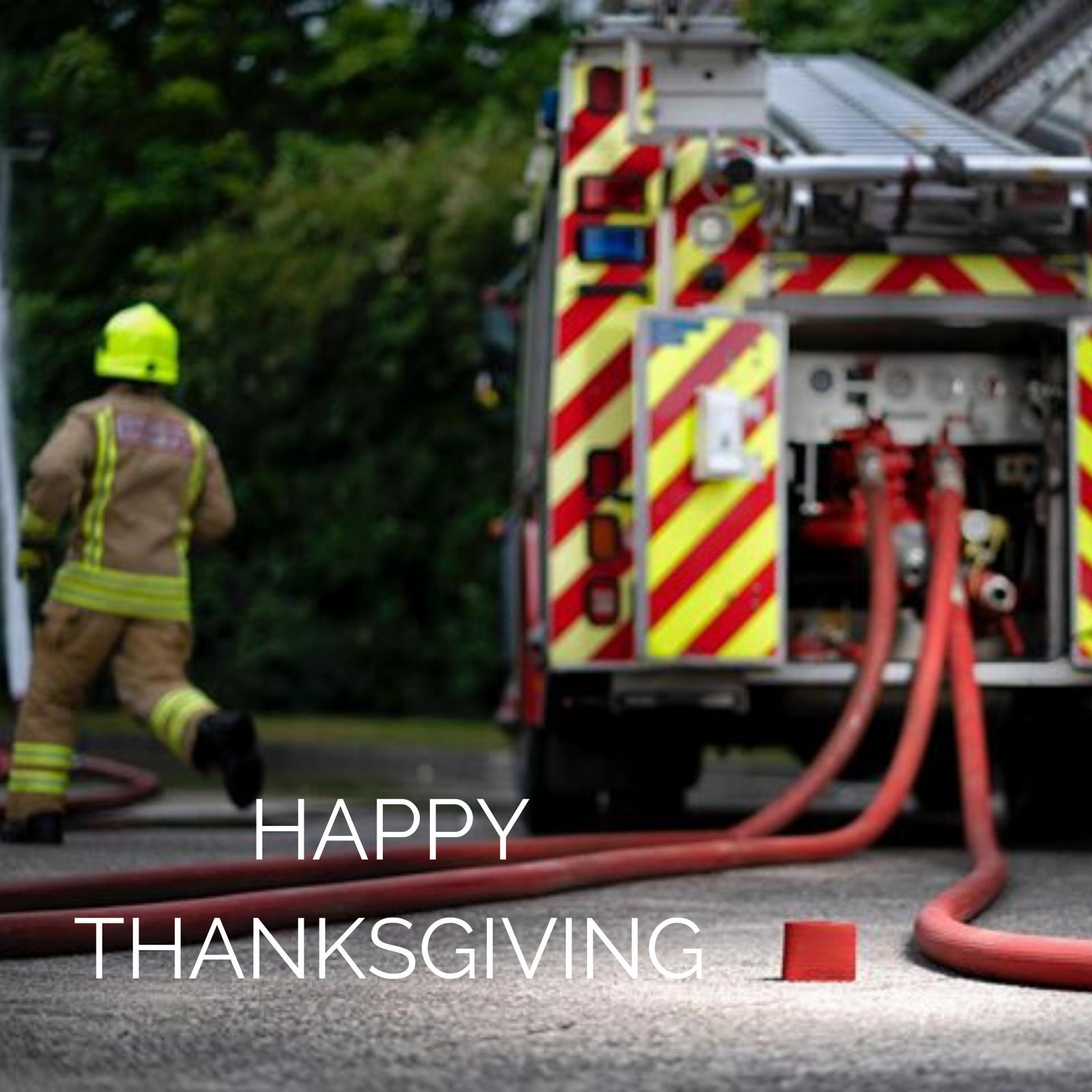 Happy Thanksgiving - Elvis & Kresse