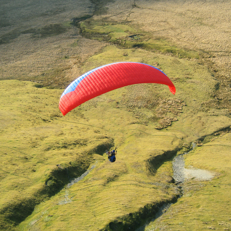 Decommissioned Paraglider Wing - Elvis & Kresse