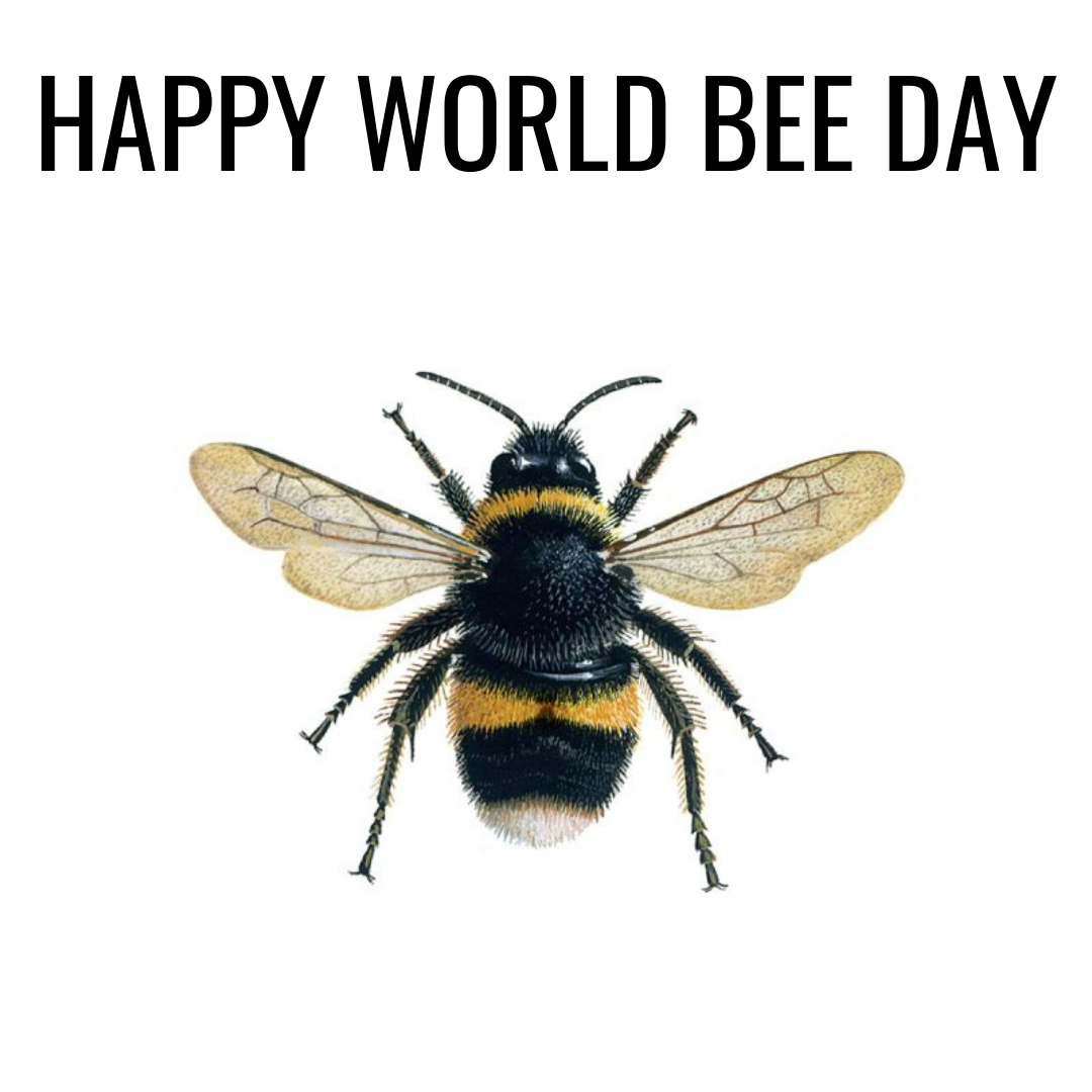 Bee Hotels - Our contribution to World Bee Day - Elvis & Kresse