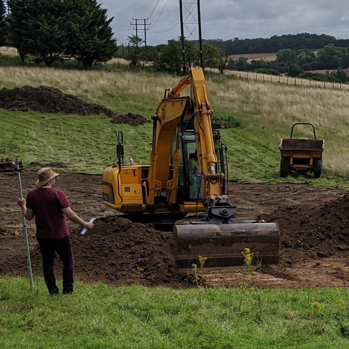 Farm Update - The Wetland