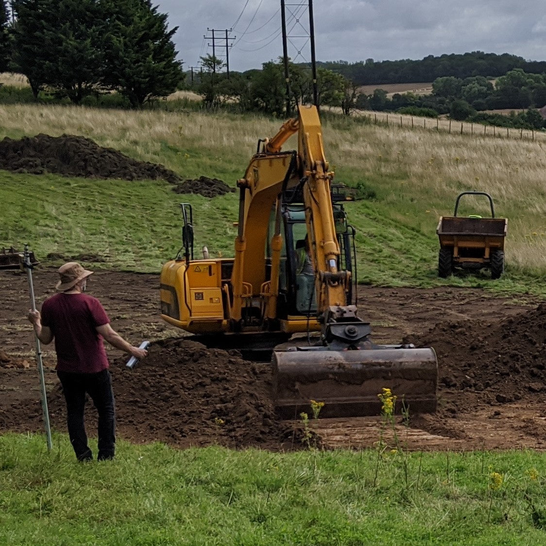 Farm Update - The Wetland