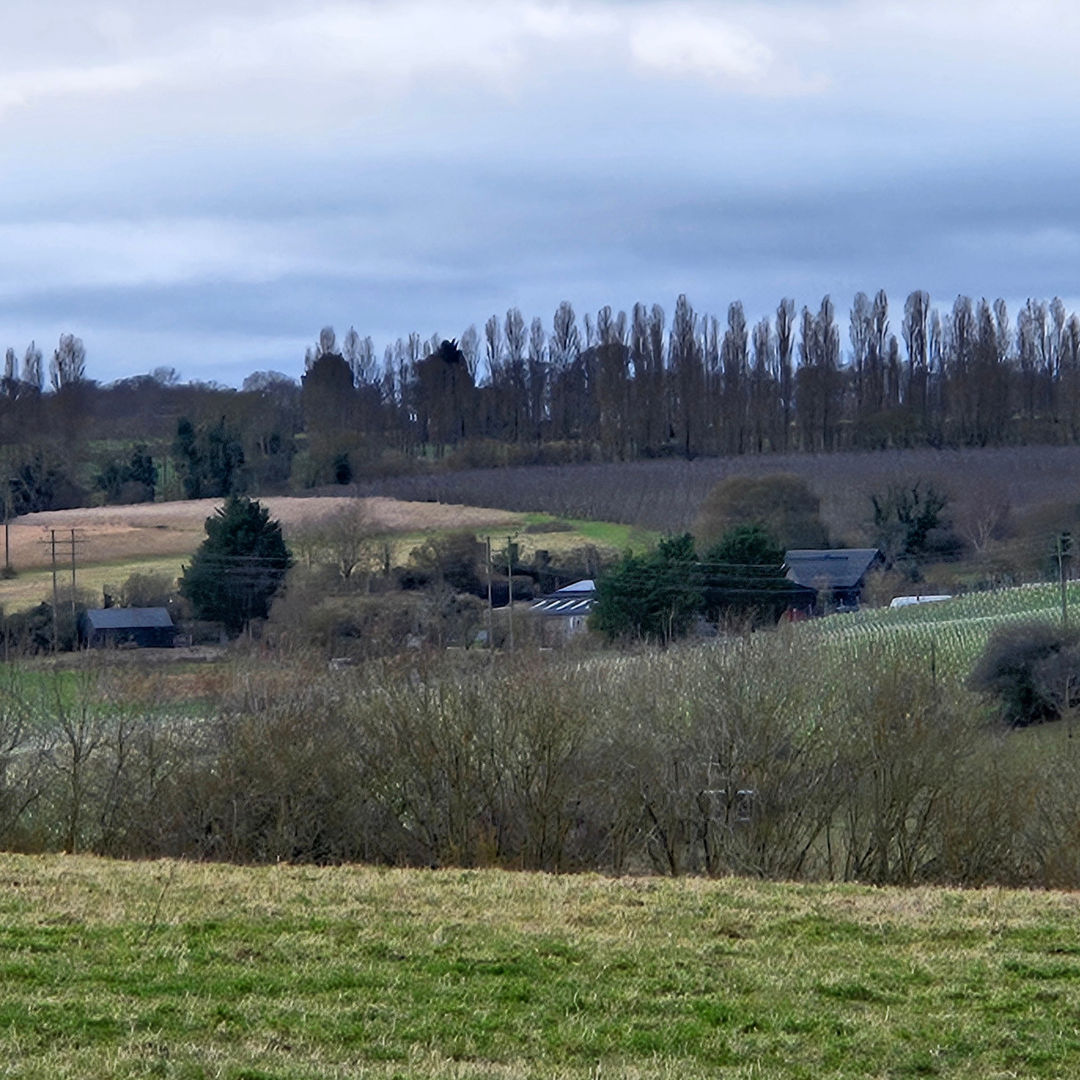 We are not a 'Maison', we are a FARM.