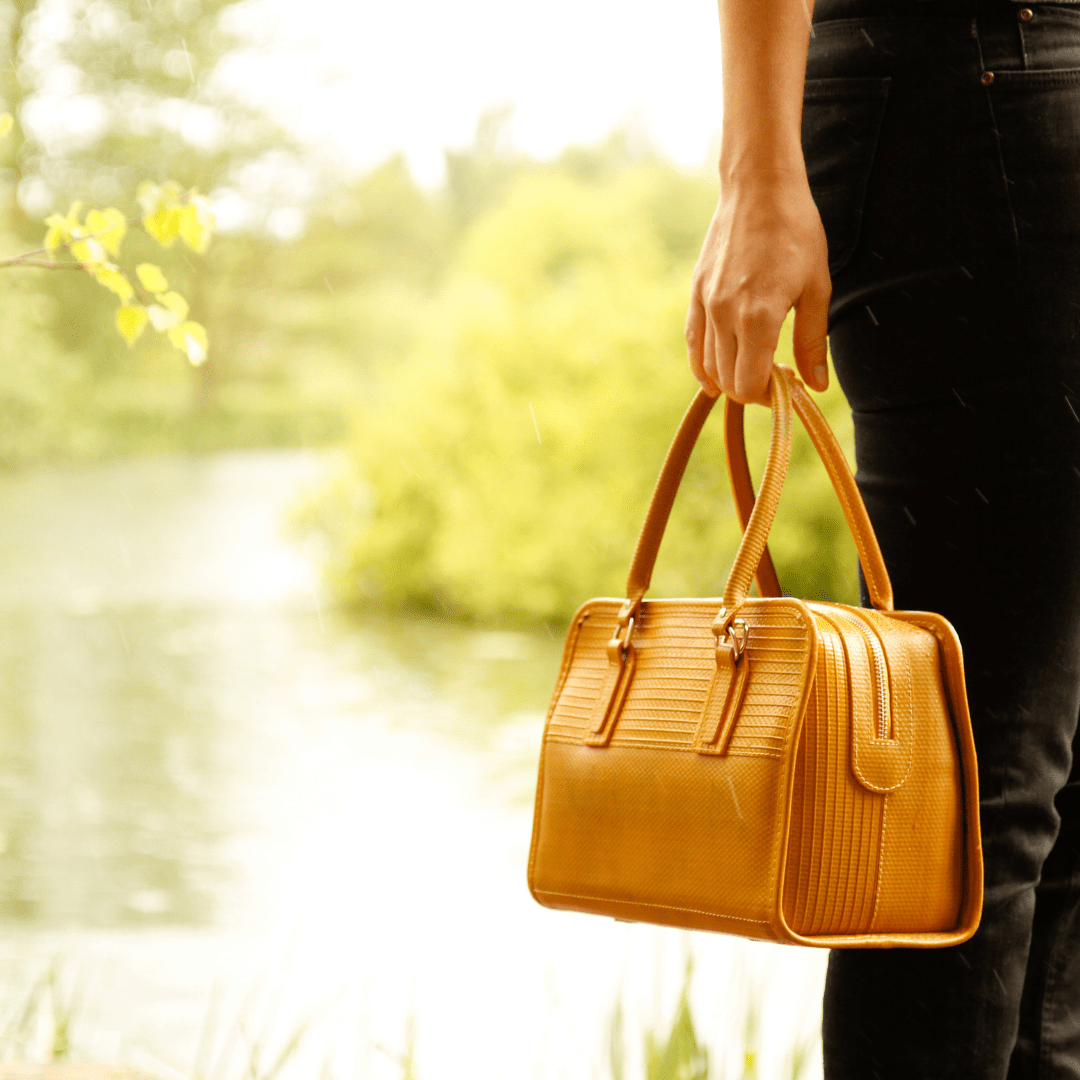 A Handbag is Not Just A Handbag