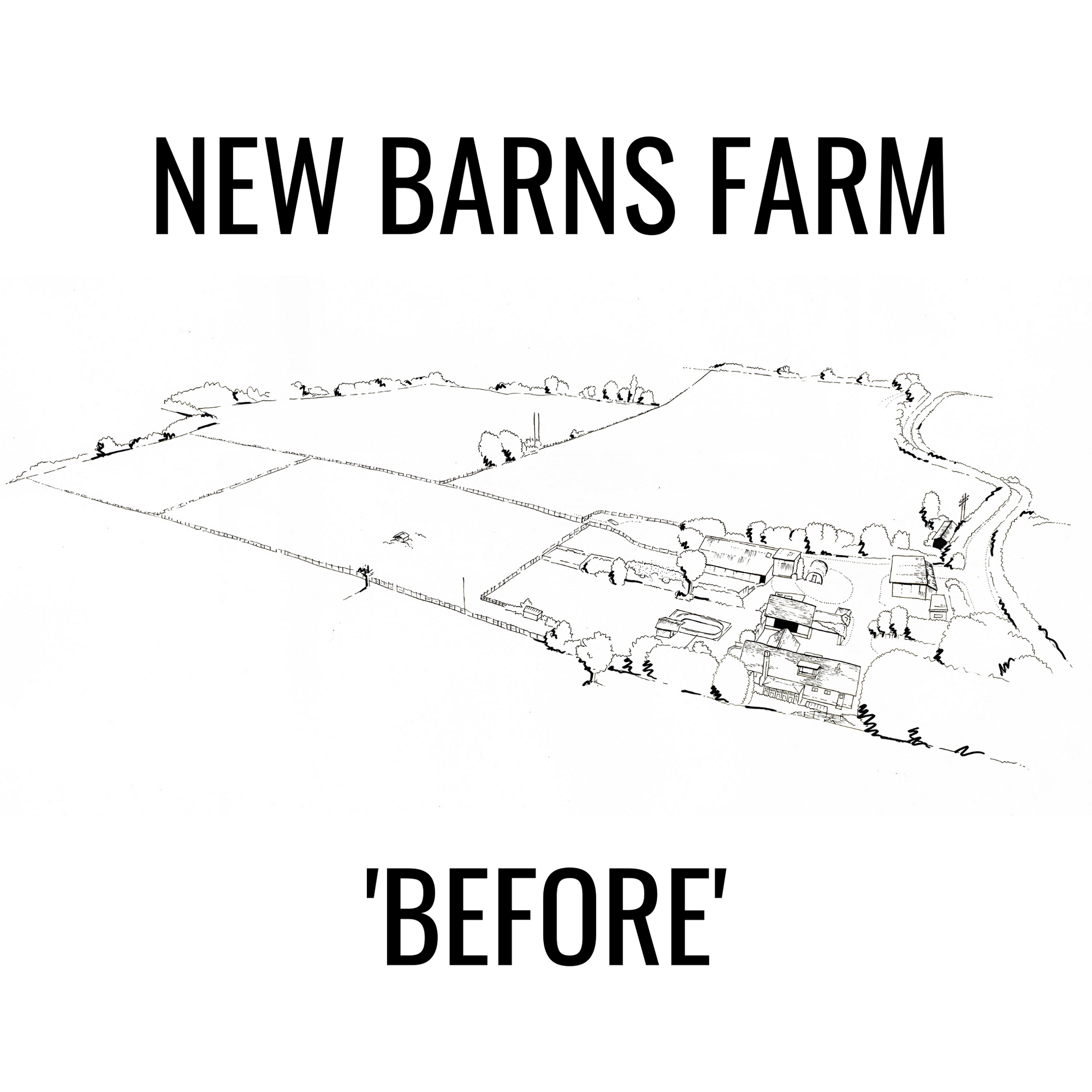 New Barns Farm Illustration 2021 - Elvis & Kresse