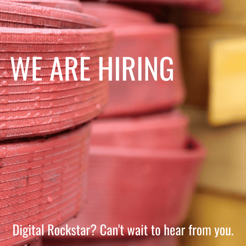 We Are Hiring For Marketing Manager / Digital - Elvis & Kresse