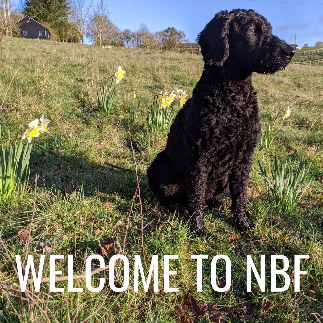 New Elvis & Kresse Headquarters!!