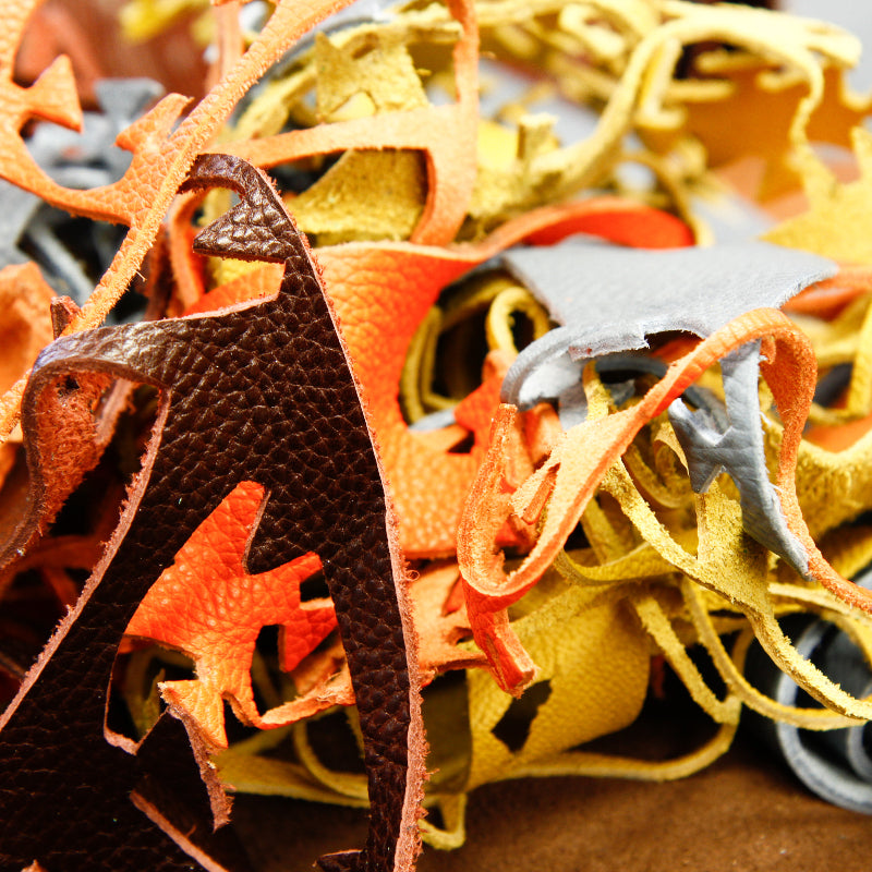 Colorful_Leather_Scrap.jpg