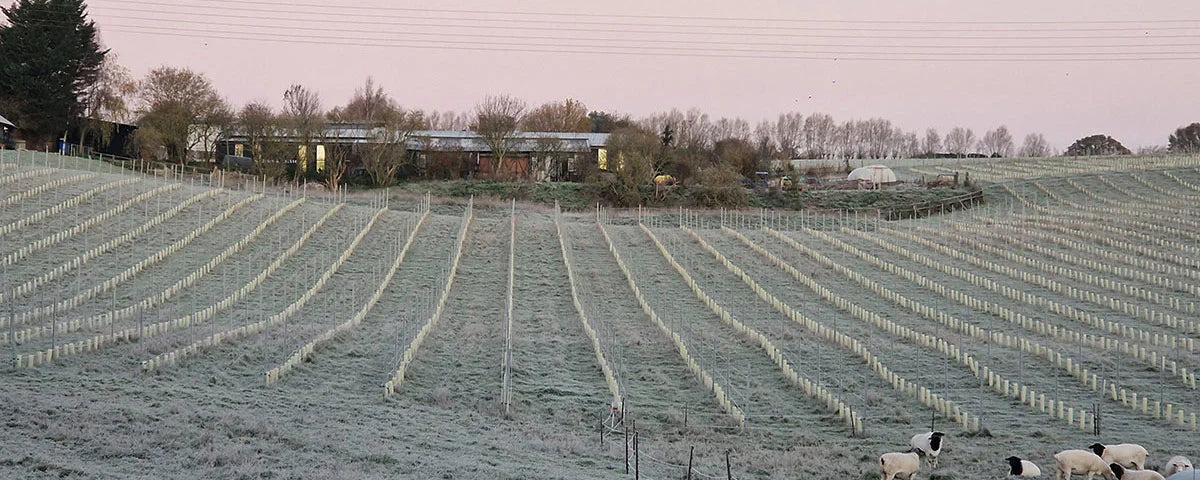 Farm-frost_2_3000x_ab4dd040-03a6-47d0-b1d1-322d77fbacce.webp
