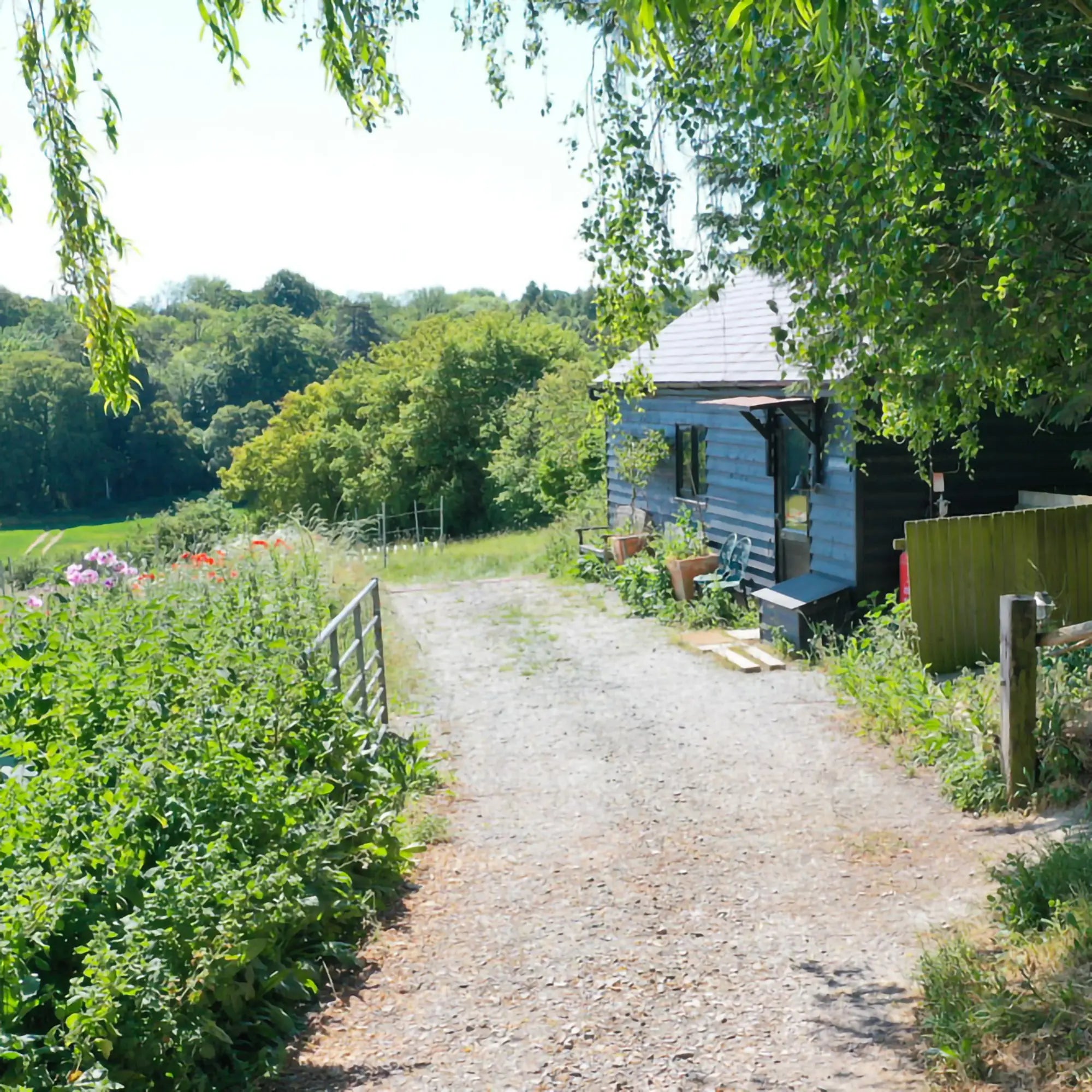 Eco-Friendly Holiday Cottage Experience