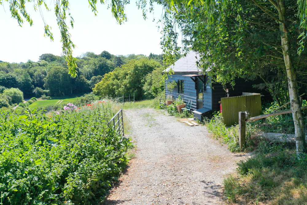 Elvis & Kresse Field House